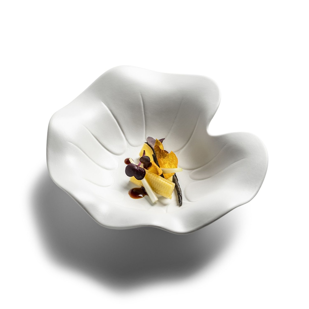 Assiette creuse Ø21cm Nectar Mat