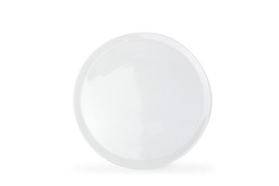 [VE256003] Assiette Ø30,5cm Basics